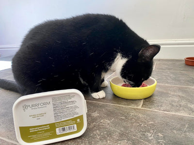 Black and white cat, eating raw cat food out of a yellow bowl. Tub of cat food positioned in front of cat