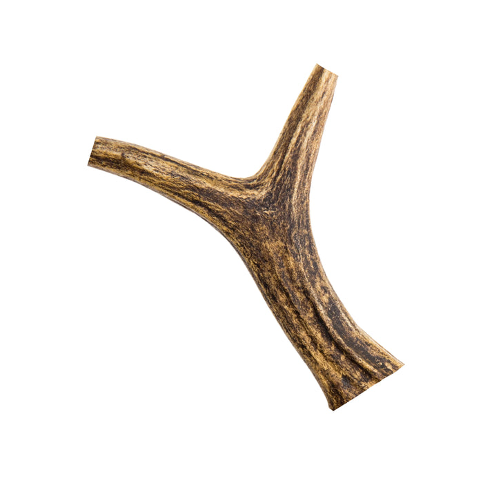 Antler Large