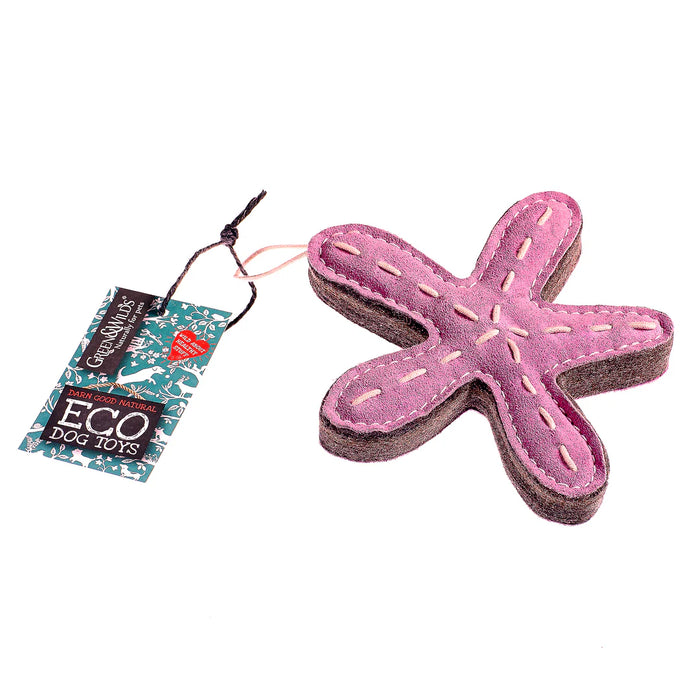 Stanley the Starfish Eco Toy
