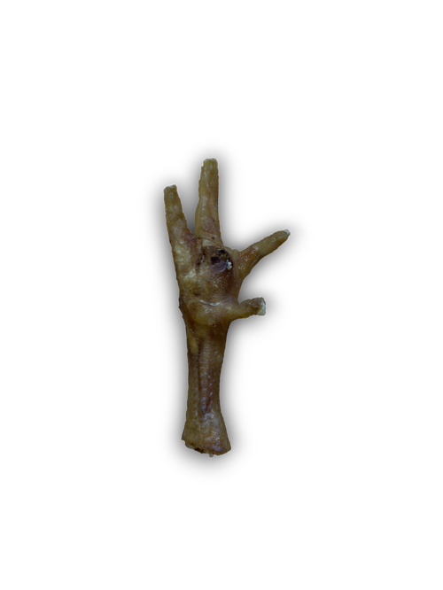 ANCO Chicken Feet