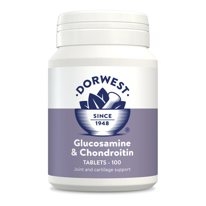 Glucosamine & Chondroitin 100 Tablets