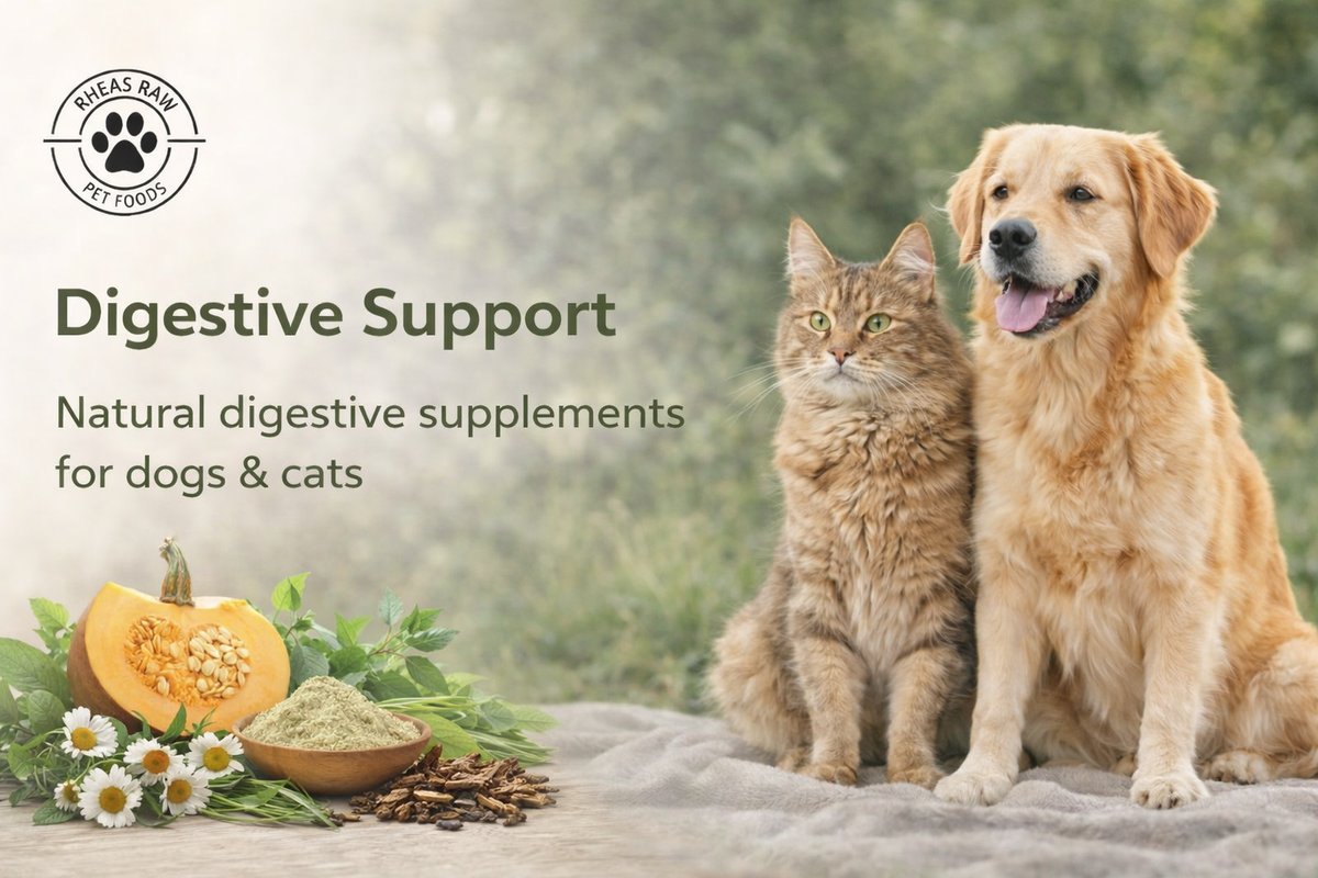 Digestive Support for Dogs & Cats | Rheas Raw — RheasRaw