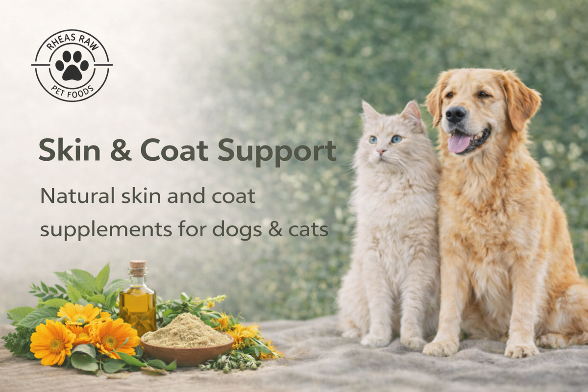 Skin & Coat Support for Dogs & Cats | Rheas Raw — RheasRaw