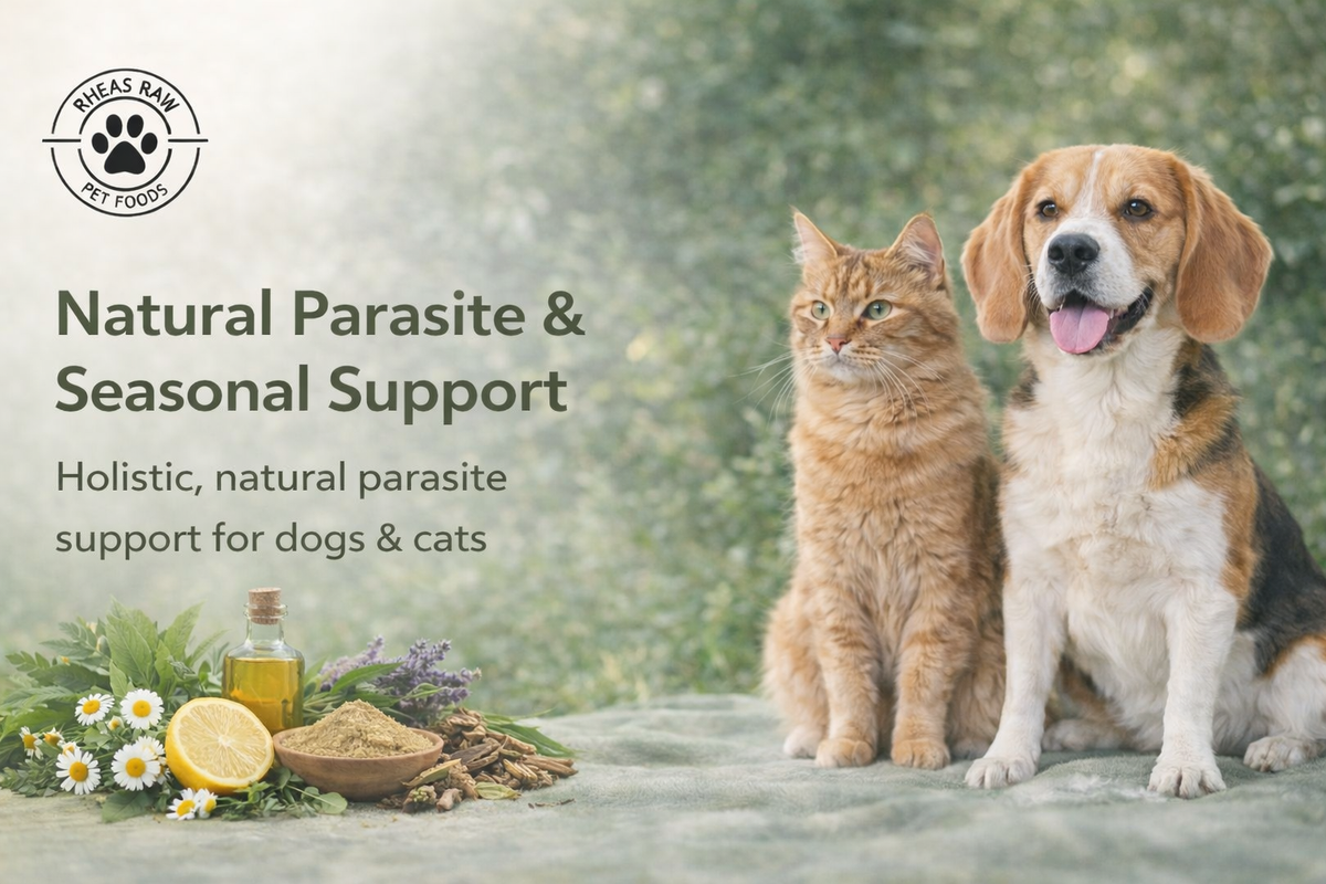 Natural Flea & Parasite Support for Dogs & Cats | Holistic Care — RheasRaw