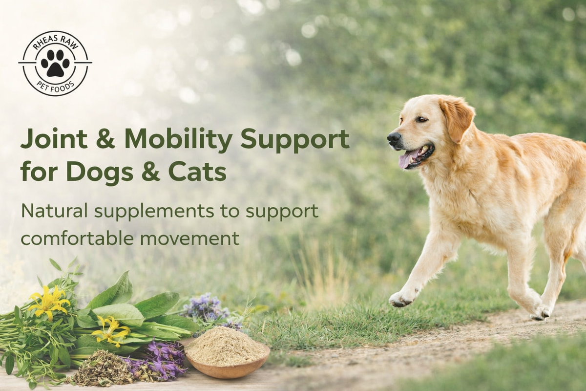 Joint & Mobility Support for Dogs & Cats | Rheas Raw — RheasRaw