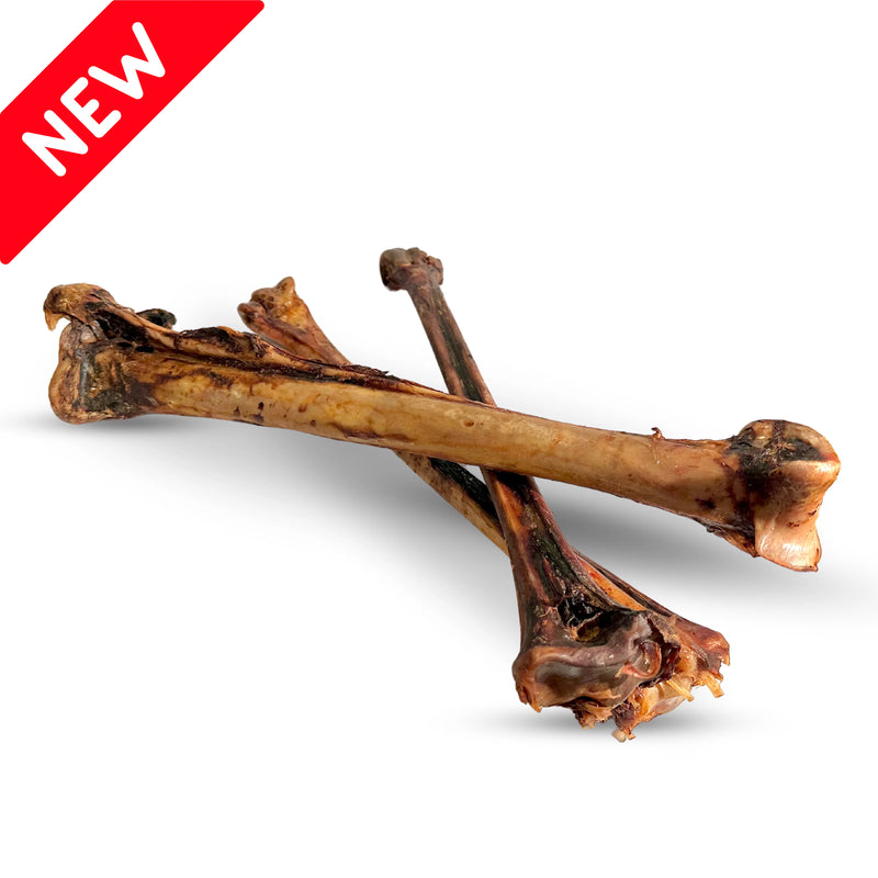 Long Ostrich Bone