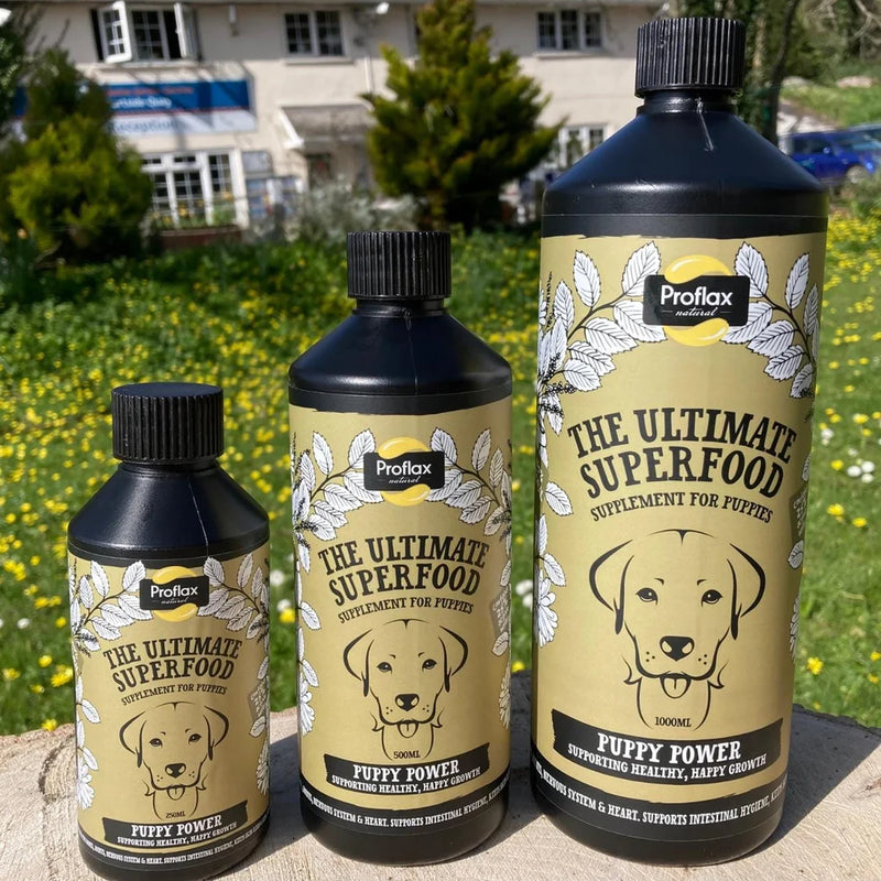 Proflax Puppy Power 100ml