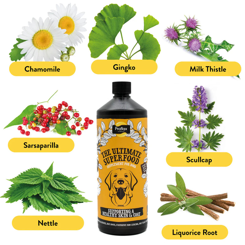 Proflax Targeted Wellness Bundle - Mini Allergy