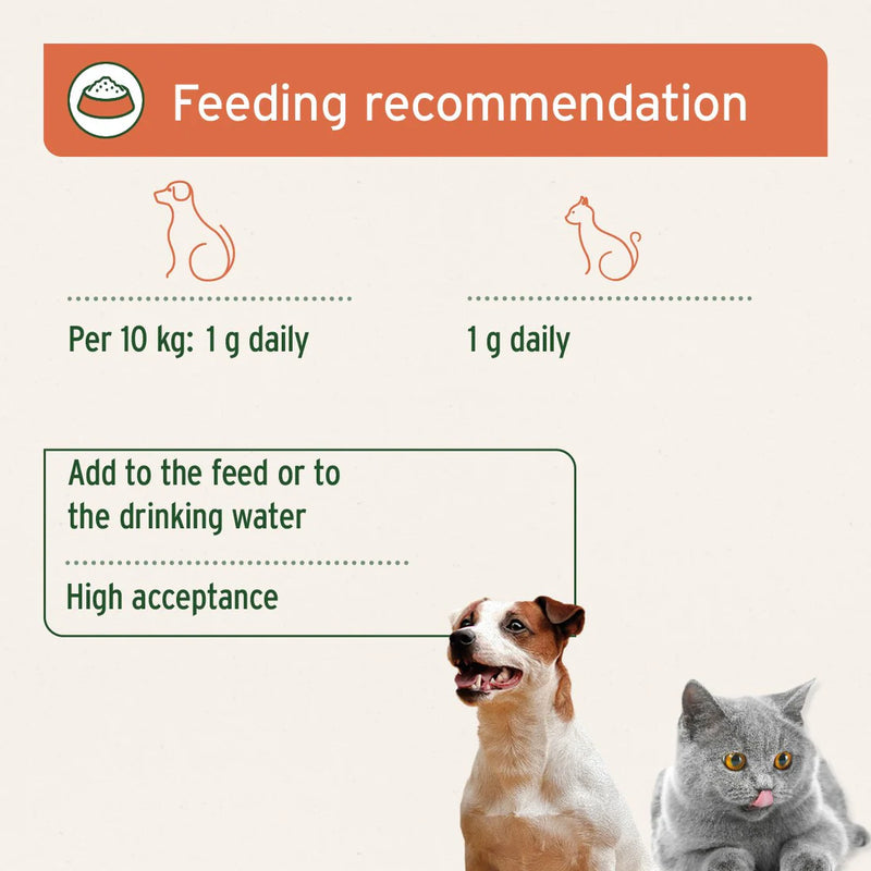 AniForte Premium Colostrum Powder for Dogs & Cats - 100g