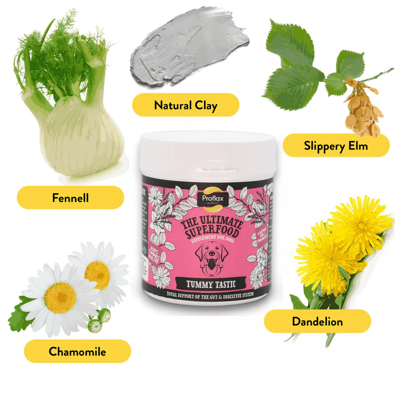 Proflax Targeted Wellness Bundle - Mini Allergy