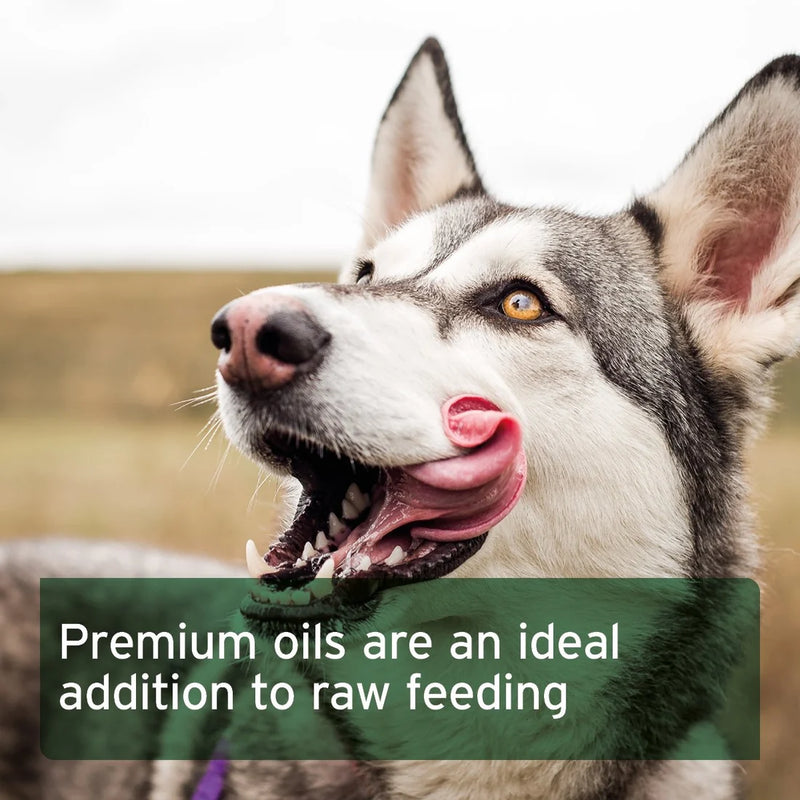 AniForte Premium Feed Oil for Dogs 250ml