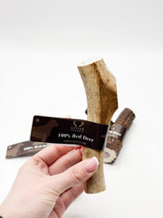 Deer Antler Chew - Medium