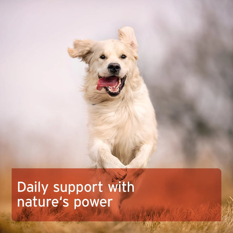 AniForte Rosehip Powder for Cats & Dogs 250g