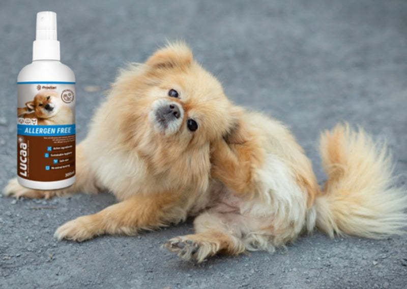 LUCAA+ Pet Probiotic Allergen-Free 300ml