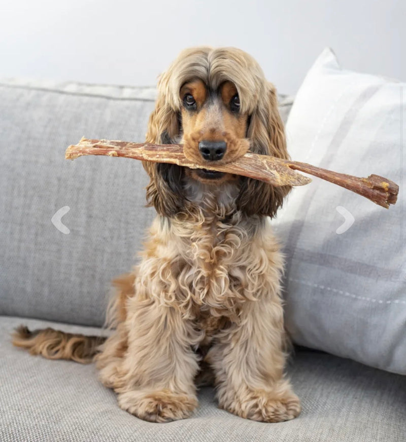 ANCO Giant Paddywhack Stick
