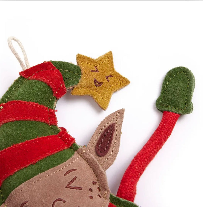 Elvis the Elf, Eco Dog Toy