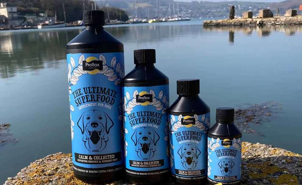 Proflax Calm & Collected for Dogs 100ml