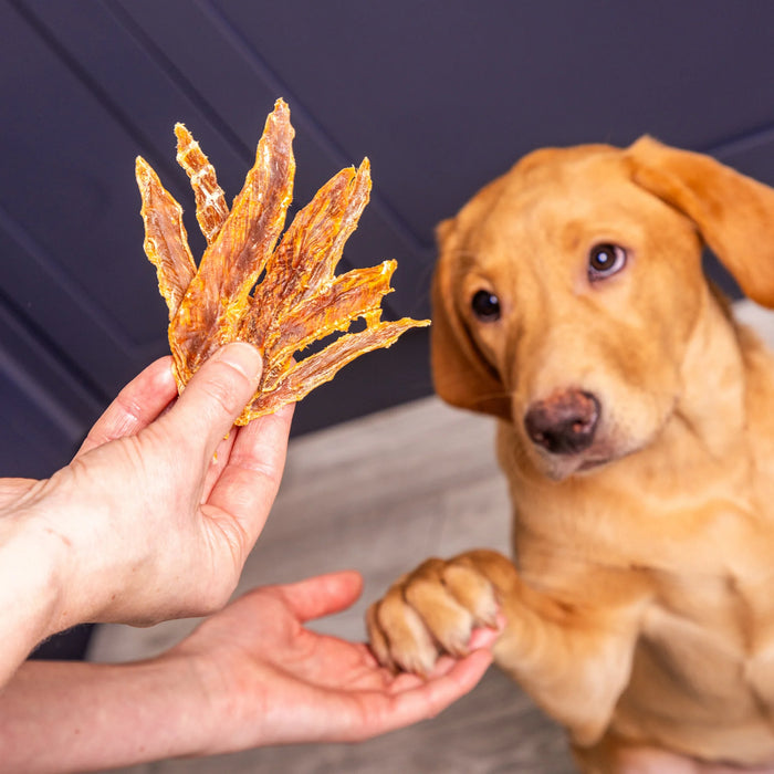 Duck Jerky 150g