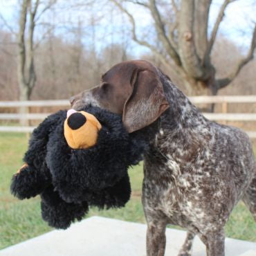 Tall Tails Black Bear Squeaker Toy