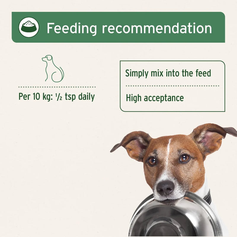 AniForte Premium Feed Oil for Dogs 250ml