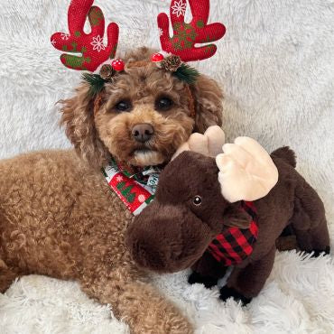 Tall Tails Animated Moose Toy