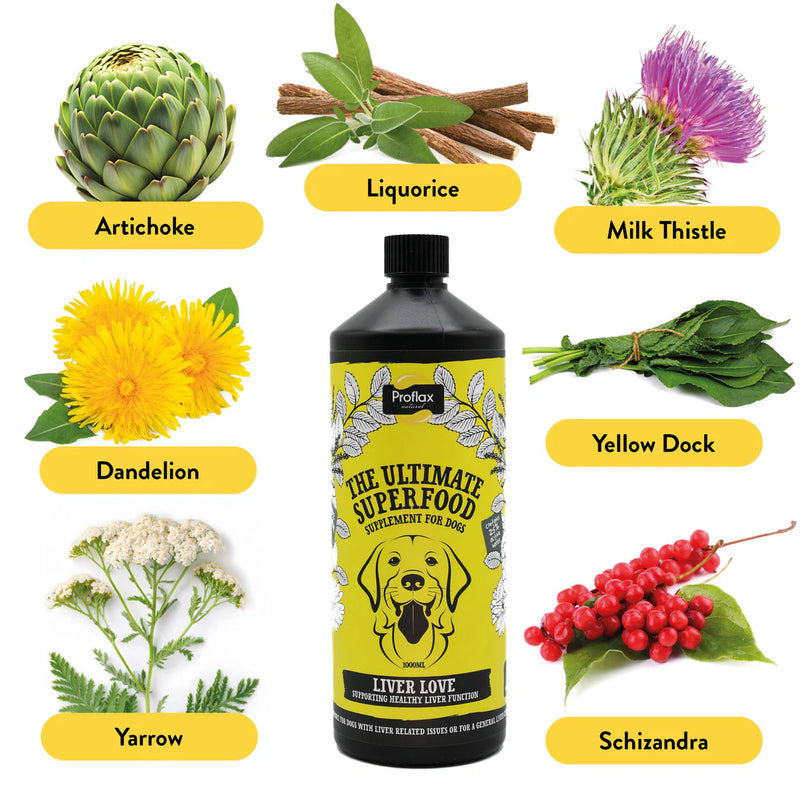 Proflax Targeted Wellness Bundle - Mini Detox