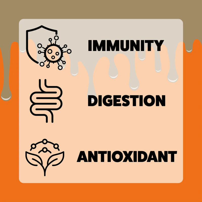 Axels Elixir Milk & Honey - Pumpkin Spiced Latte