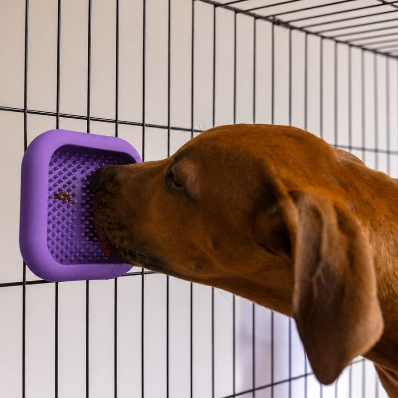 LickiMat Crate Mate Purple