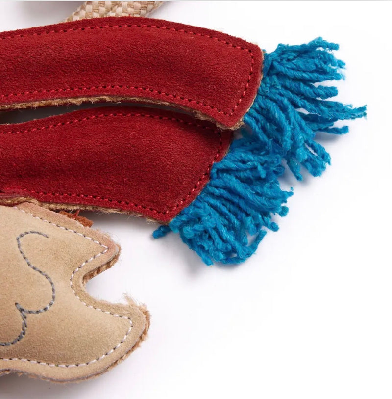 Donna the Duck, Eco Dog Toy
