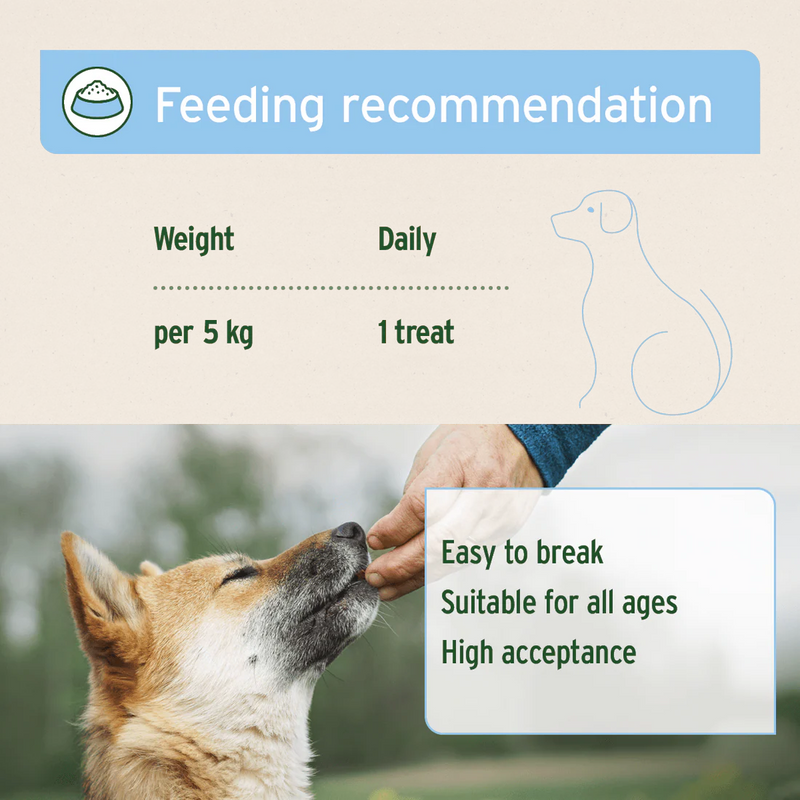 AniForte Skin & Coat Snack 300g