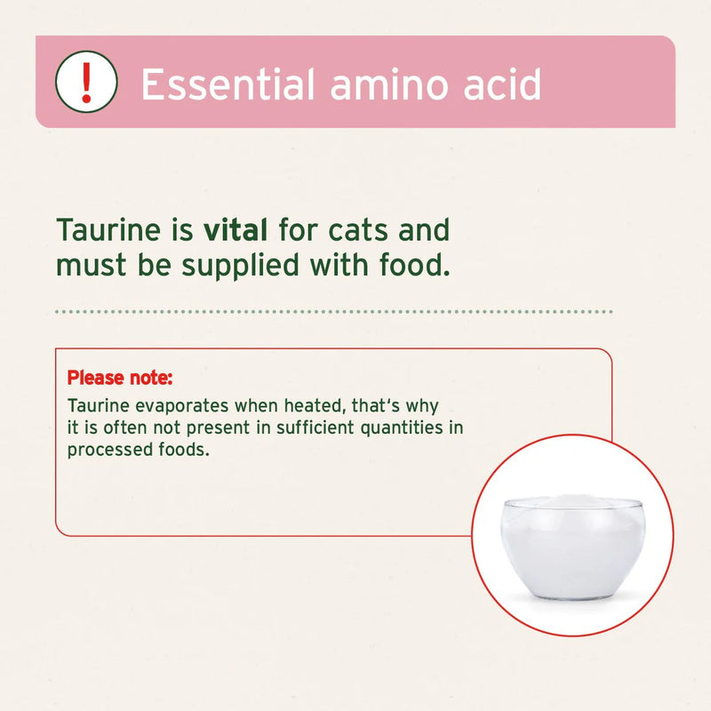 AniForte Taurine Powder for Cats 100g