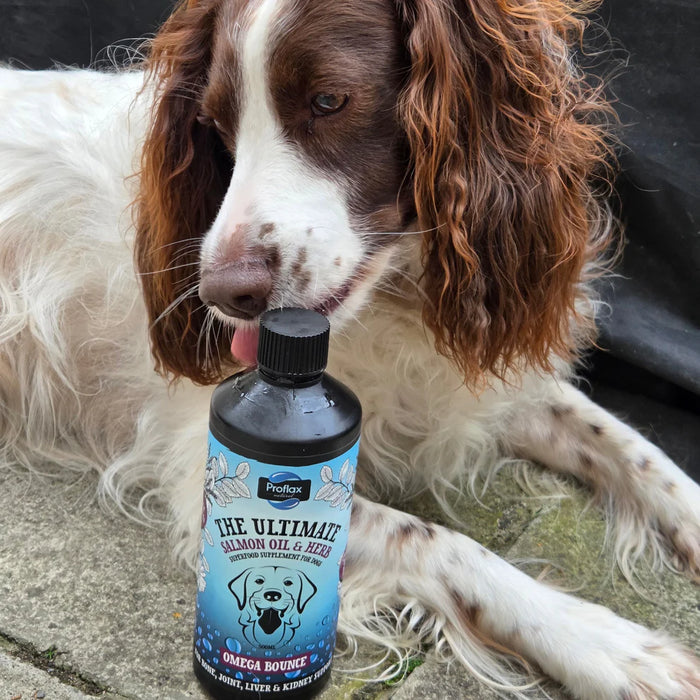 Proflax Omega Bounce 250ml
