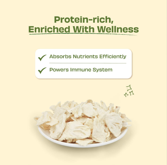 Pawfect Freeze-Dried Pineapple treats for Dogs