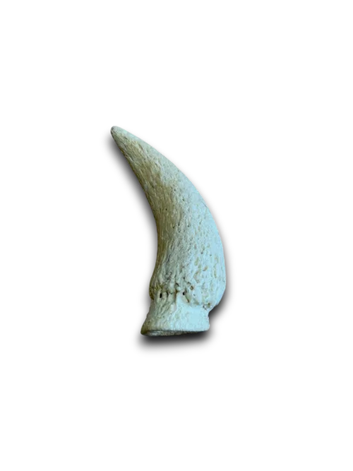 ANCO Cow Horn Marrow