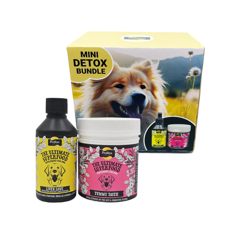 Proflax Targeted Wellness Bundle - Mini Detox