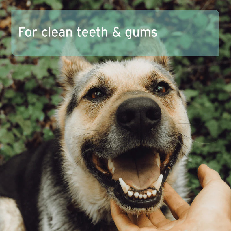 AniForte - Denta Clean & Care Fingerpads - 50 Pieces