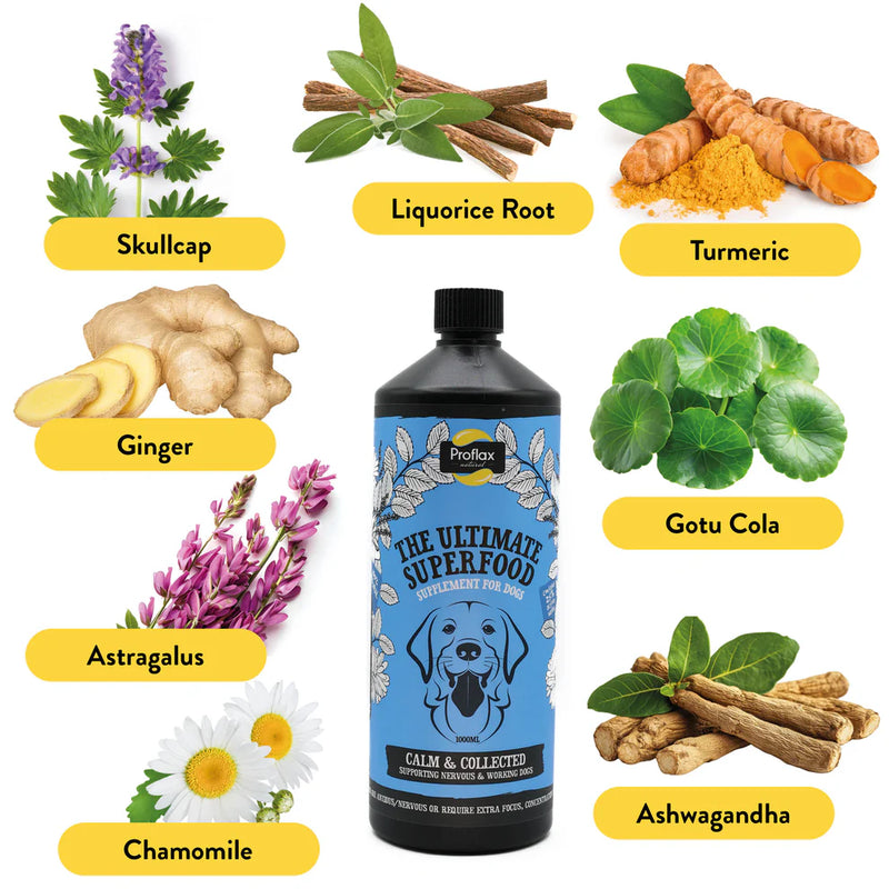 Proflax Calm & Collected Liquid Supplement for Dogs – 250ml