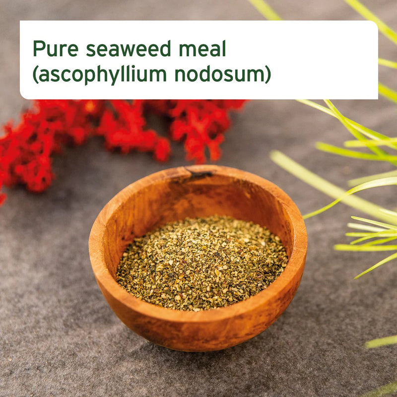 AniForte Seaweed Powder 250g