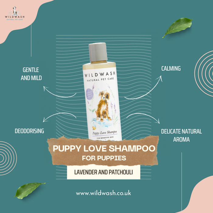 WildWash Puppy Love Shampoo 250ml