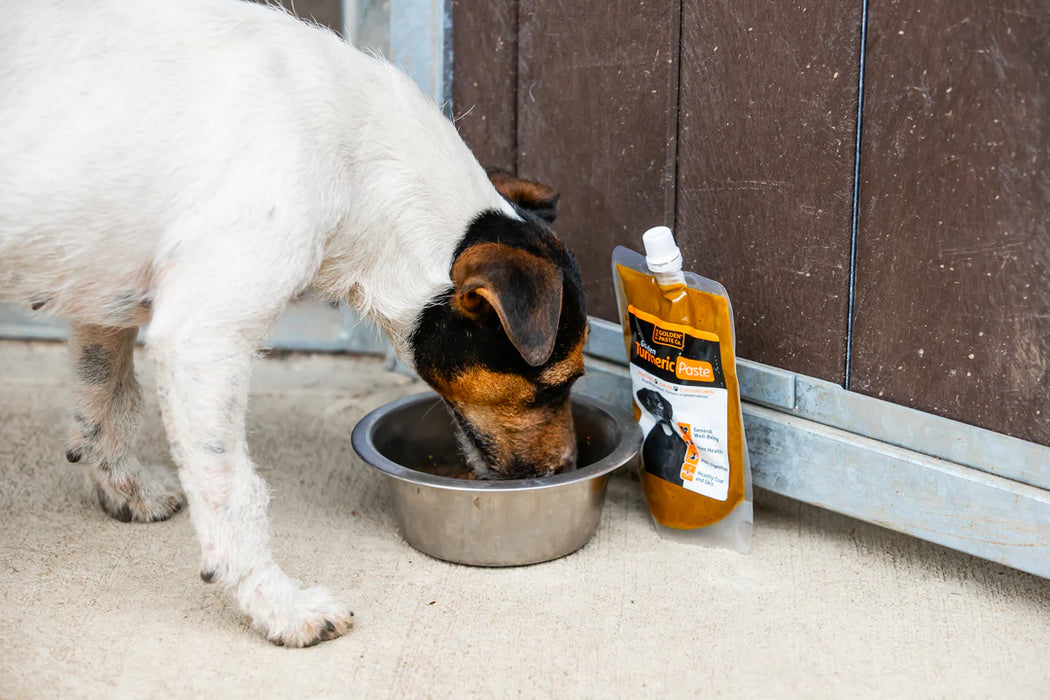 Tumeric Golden Paste for Dogs 200g