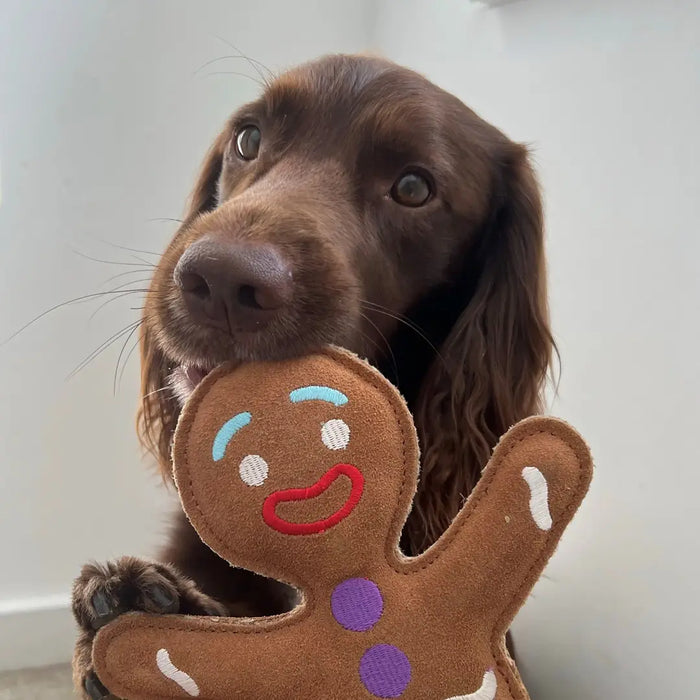 Gingerbread Man, Eco Dog Toy