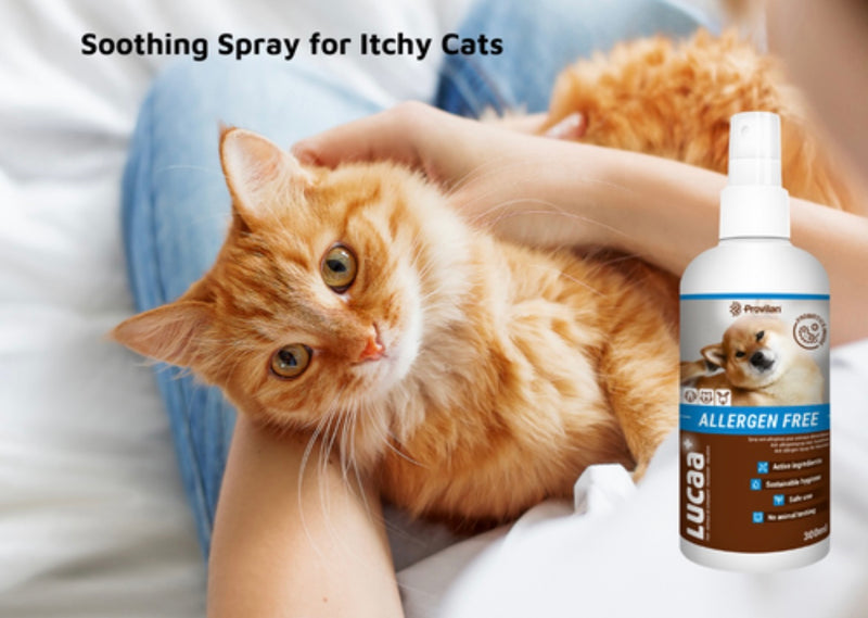 LUCAA+ Pet Probiotic Allergen-Free 300ml