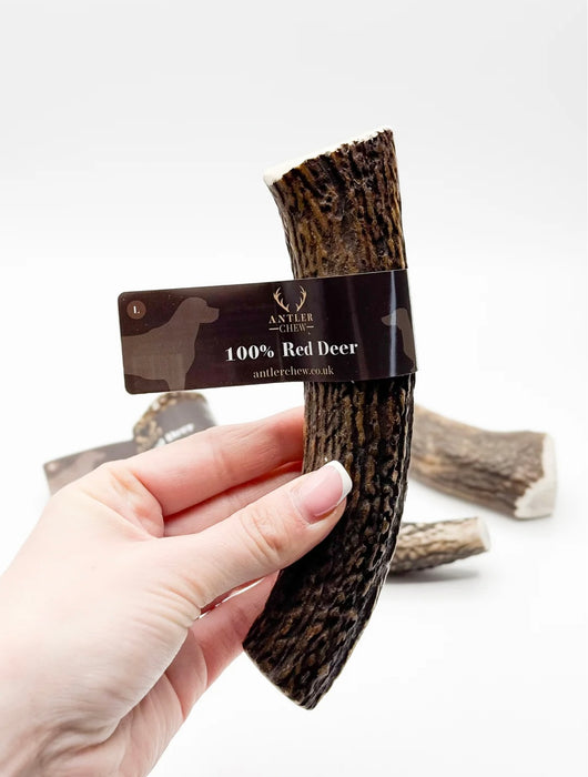 Deer Antler Chew Large