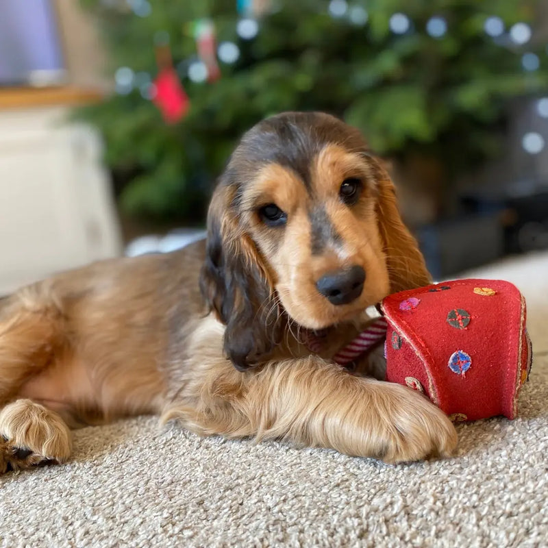 Monsieur Bauble, Eco Dog Toy