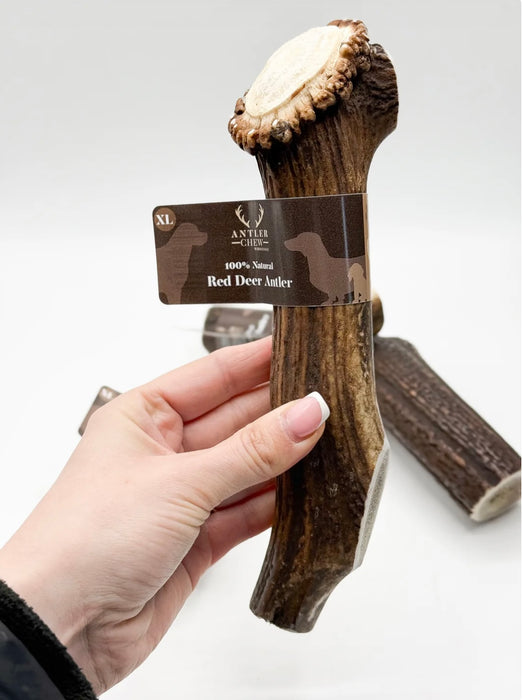 Deer Antler Chew XL