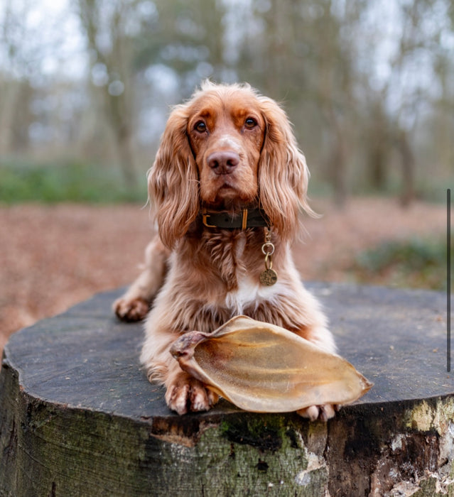 ANCO Meaty Buffalo Ear