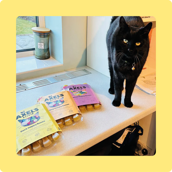 Axels Elixirs Duck Happy Bones for Cats