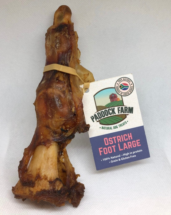 Ostrich Foot Large