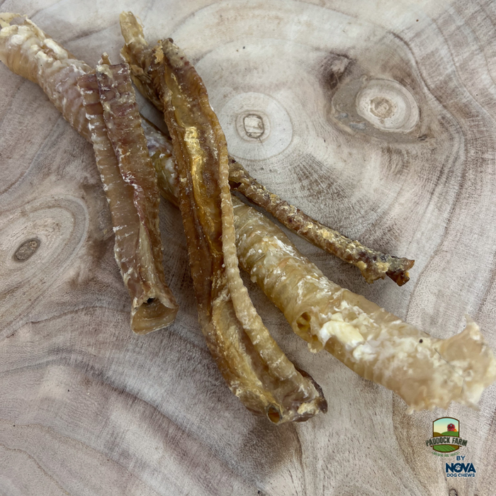 Lamb Trachea Dry