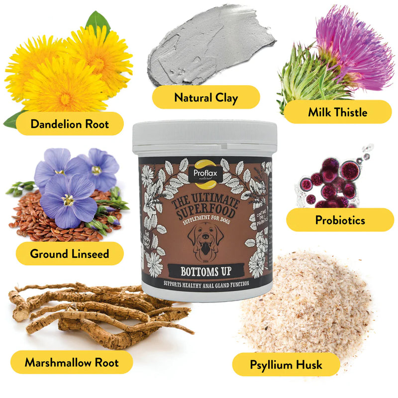 Proflax Bottoms Up Digestive Support Powder for Dogs – 300g